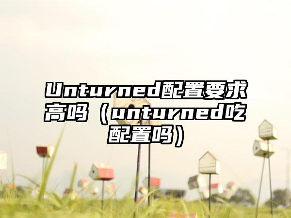 Unturned配置要求高吗（unturned吃配置吗）