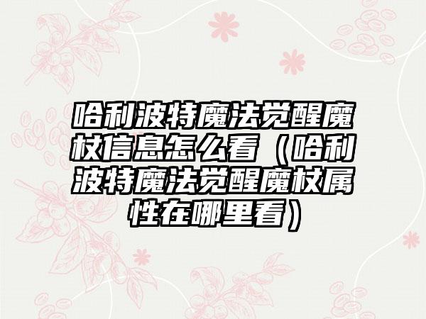 哈利波特魔法觉醒魔杖信息怎么看（哈利波特魔法觉醒魔杖属性在哪里看）