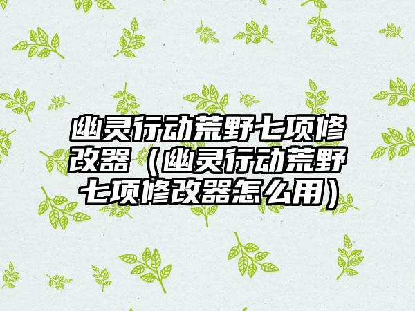 幽灵行动荒野七项修改器（幽灵行动荒野七项修改器怎么用）