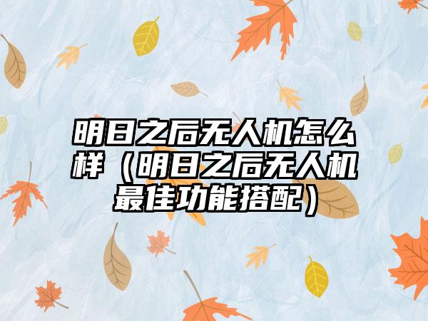 明日之后无人机怎么样（明日之后无人机最佳功能搭配）