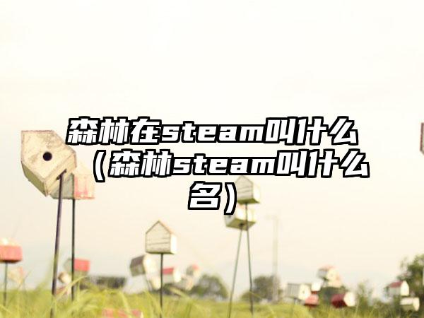 森林在steam叫什么（森林steam叫什么名）