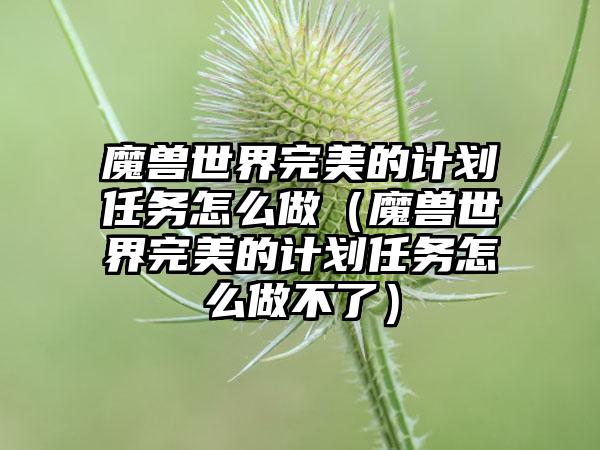 魔兽世界完美的计划任务怎么做（魔兽世界完美的计划任务怎么做不了）