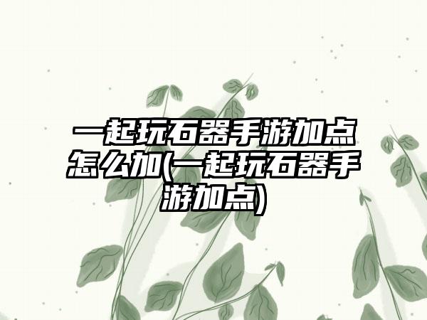 一起玩石器手游加点怎么加(一起玩石器手游加点)