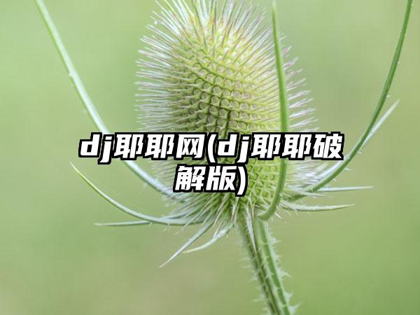 dj耶耶网(dj耶耶破解版)