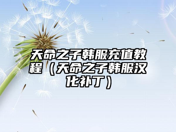 天命之子韩服充值教程（天命之子韩服汉化补丁）