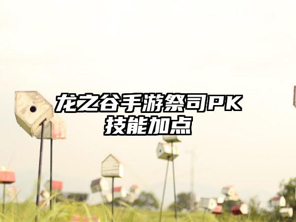 龙之谷手游祭司PK技能加点