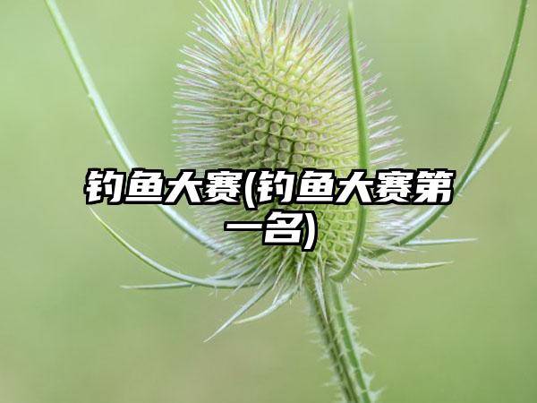 钓鱼大赛(钓鱼大赛第一名)