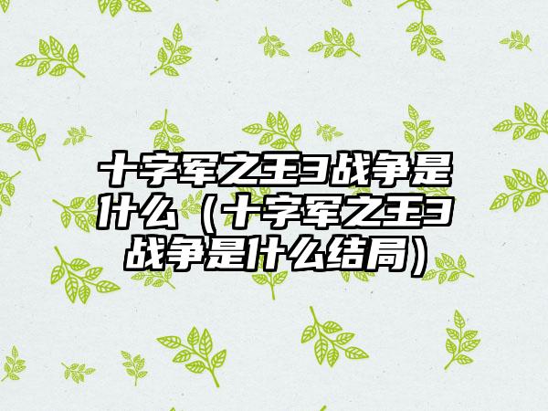 十字军之王3战争是什么（十字军之王3战争是什么结局）
