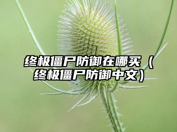 终极僵尸防御在哪买（终极僵尸防御中文）
