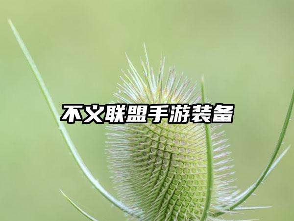 不义联盟手游装备