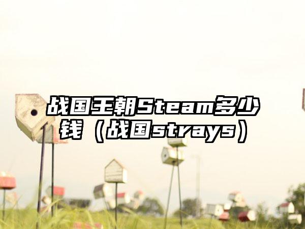 战国王朝Steam多少钱（战国strays）