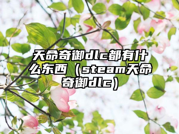 天命奇御dlc都有什么东西（steam天命奇御dlc）