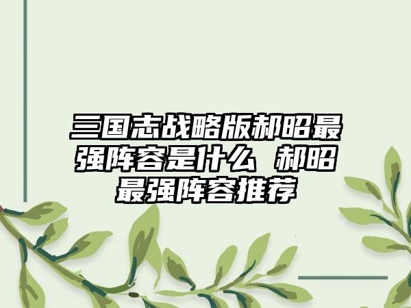 三国志战略版郝昭最强阵容是什么 郝昭最强阵容推荐