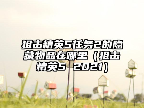 狙击精英5任务2的隐藏物品在哪里（狙击精英5 2021）
