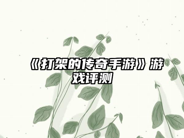 《打架的传奇手游》游戏评测