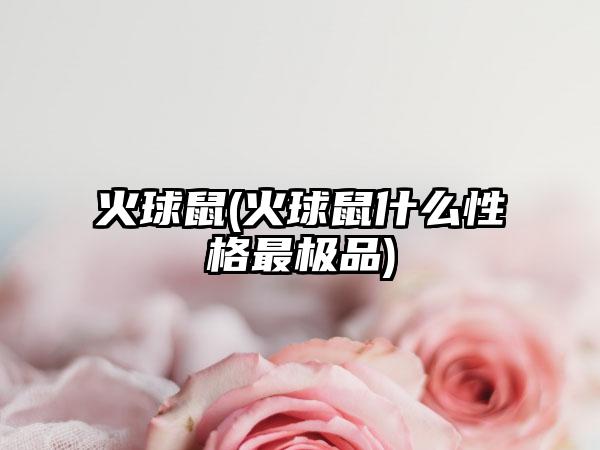 火球鼠(火球鼠什么性格最极品)