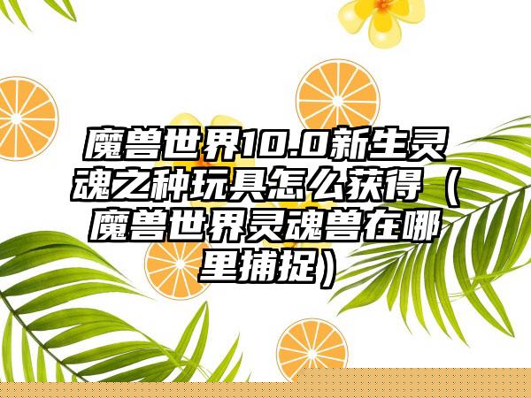 黑色沙漠手游女武神技能是什么（黑色沙漠女武神技能加点）