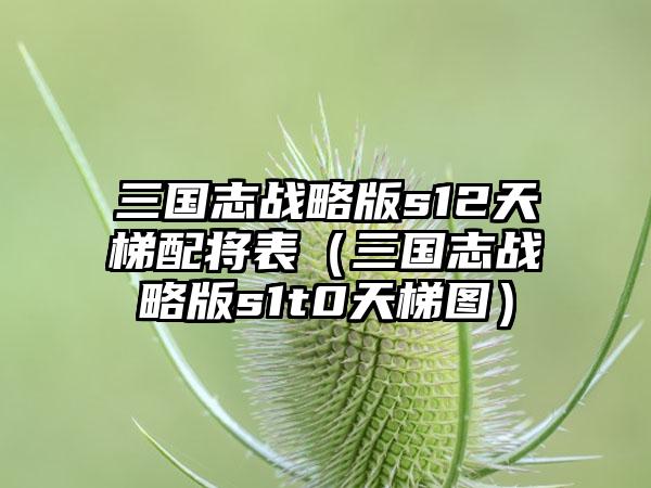 三国志战略版s12天梯配将表（三国志战略版s1t0天梯图）