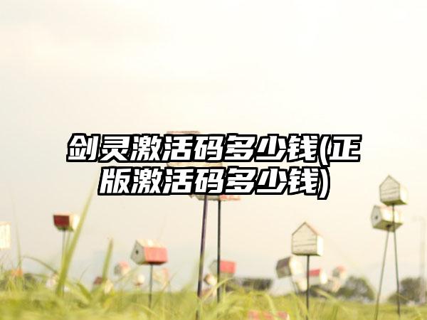 剑灵激活码多少钱(正版激活码多少钱)