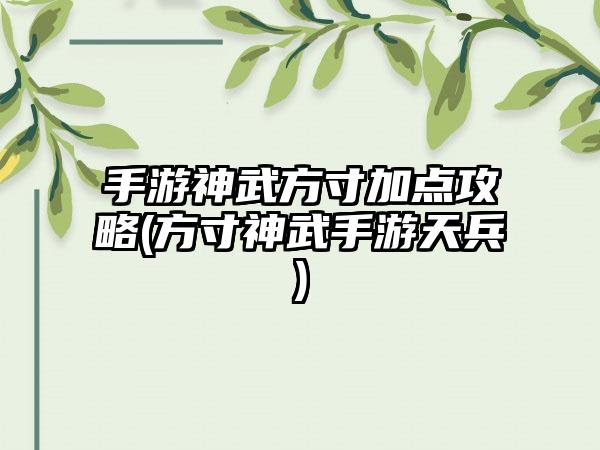 手游神武方寸加点攻略(方寸神武手游天兵)