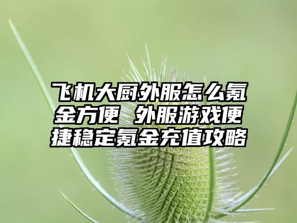 飞机大厨外服怎么氪金方便 外服游戏便捷稳定氪金充值攻略