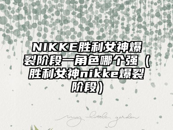 NIKKE胜利女神爆裂阶段一角色哪个强（胜利女神nikke爆裂阶段）