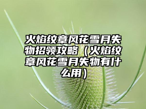 火焰纹章风花雪月失物招领攻略（火焰纹章风花雪月失物有什么用）