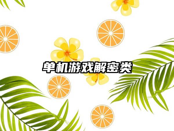 单机游戏解密类