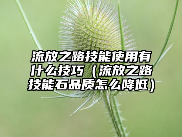流放之路技能使用有什么技巧（流放之路技能石品质怎么降低）