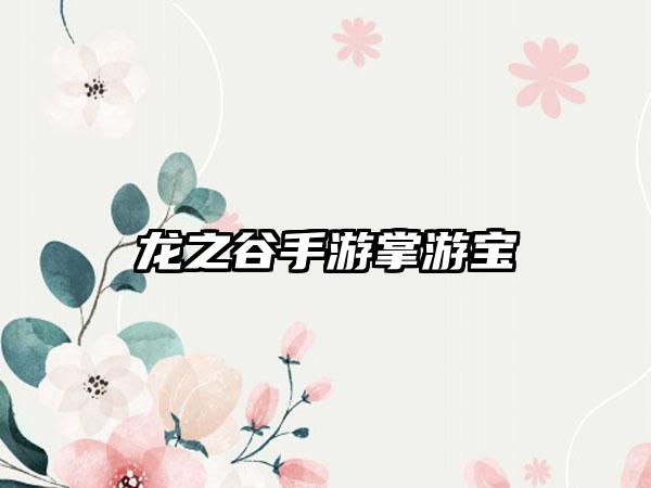 龙之谷手游掌游宝