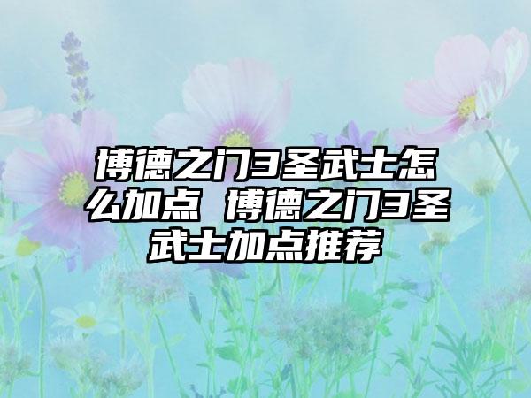 博德之门3圣武士怎么加点 博德之门3圣武士加点推荐