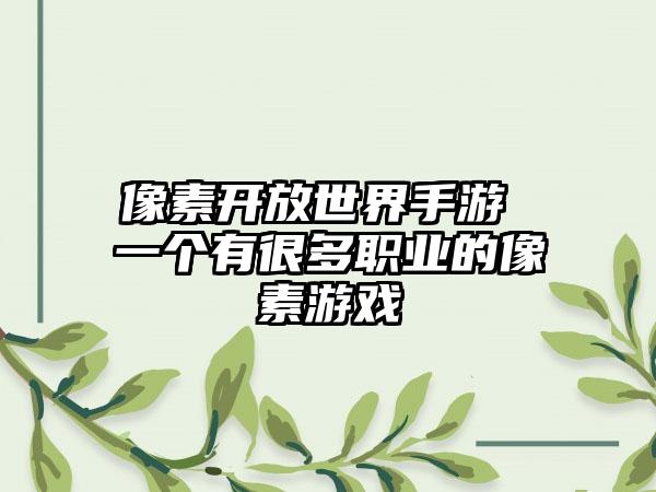 像素开放世界手游 一个有很多职业的像素游戏