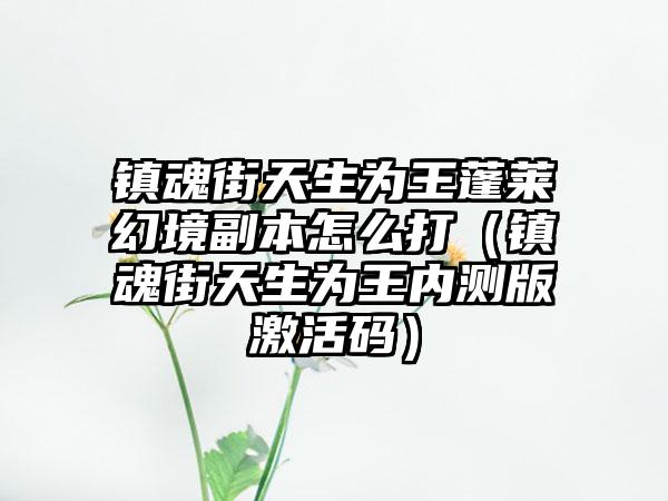镇魂街天生为王蓬莱幻境副本怎么打（镇魂街天生为王内测版激活码）
