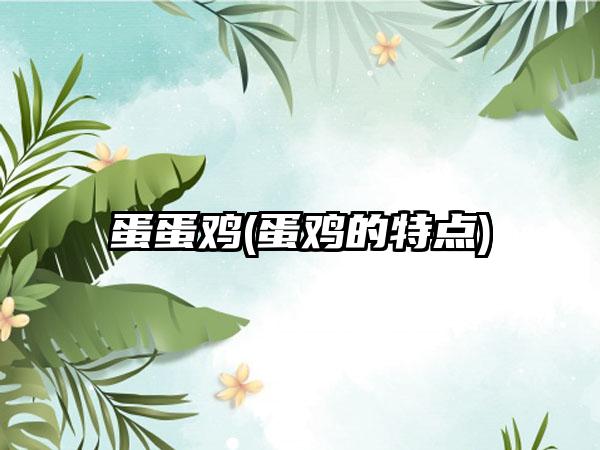 蛋蛋鸡(蛋鸡的特点)