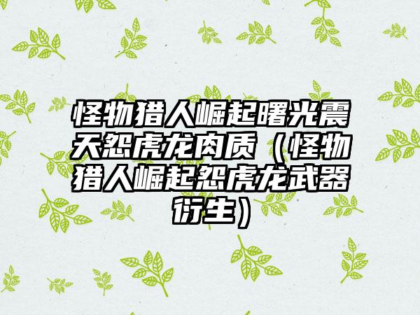 怪物猎人崛起曙光震天怨虎龙肉质（怪物猎人崛起怨虎龙武器衍生）