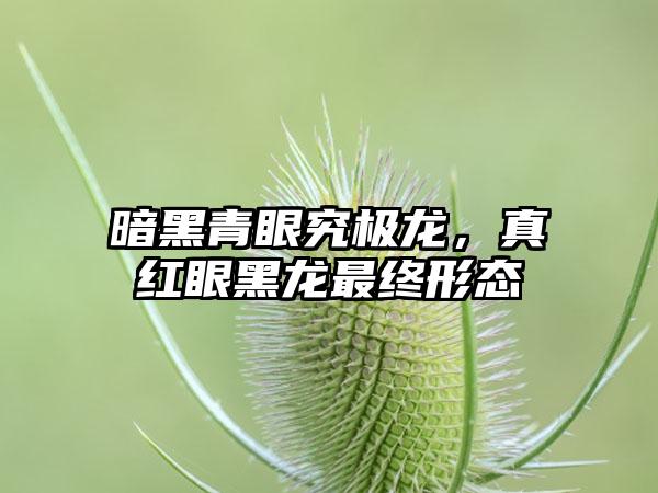 暗黑青眼究极龙，真红眼黑龙最终形态