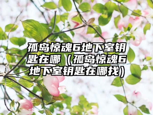 孤岛惊魂6地下室钥匙在哪（孤岛惊魂6地下室钥匙在哪找）