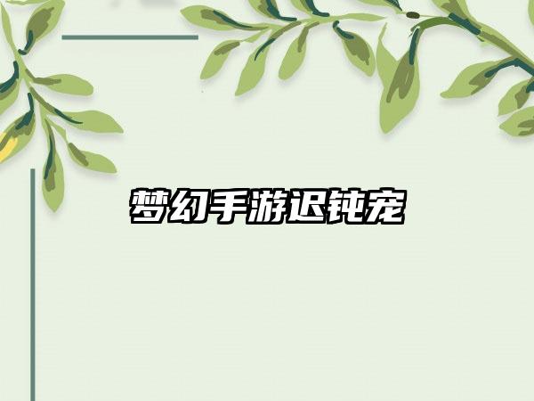 梦幻手游迟钝宠
