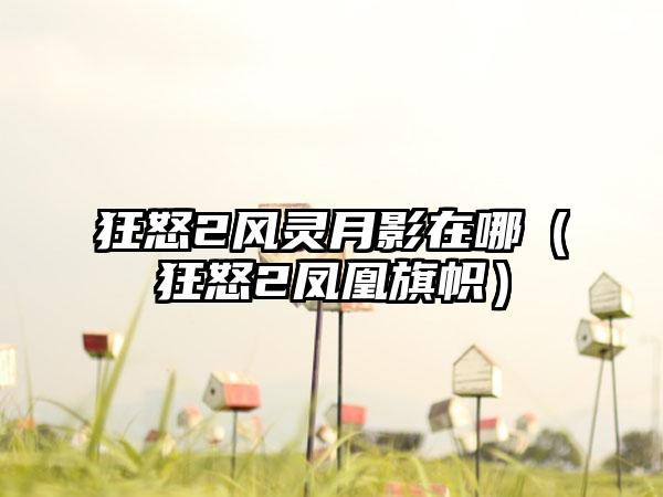 狂怒2风灵月影在哪（狂怒2凤凰旗帜）