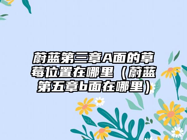 蔚蓝第三章A面的草莓位置在哪里（蔚蓝第五章b面在哪里）