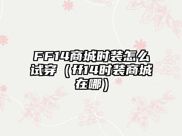 FF14商城时装怎么试穿（ff14时装商城在哪）