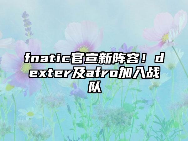 fnatic官宣新阵容！dexter及afro加入战队