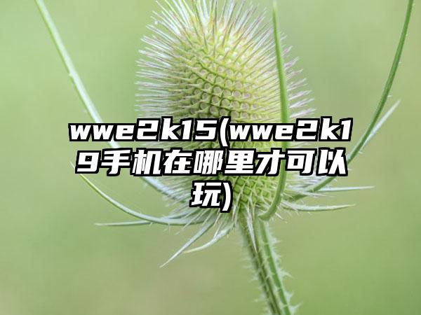 wwe2k15(wwe2k19手机在哪里才可以玩)