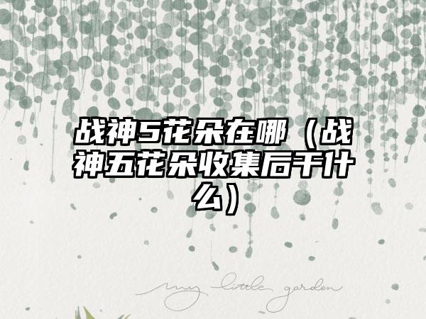 战神5花朵在哪（战神五花朵收集后干什么）