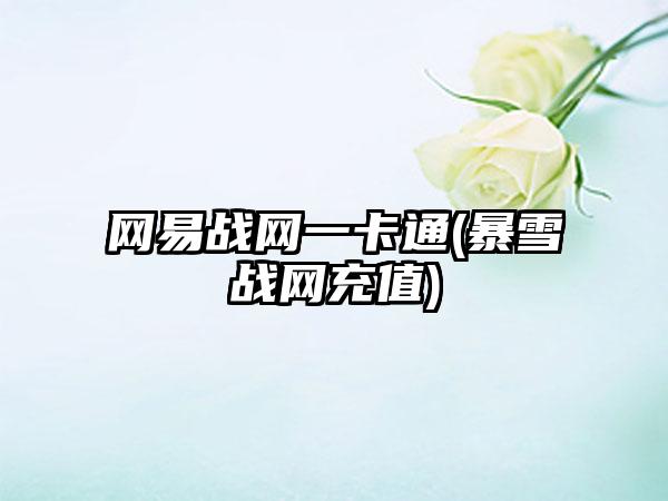 网易战网一卡通(暴雪战网充值)