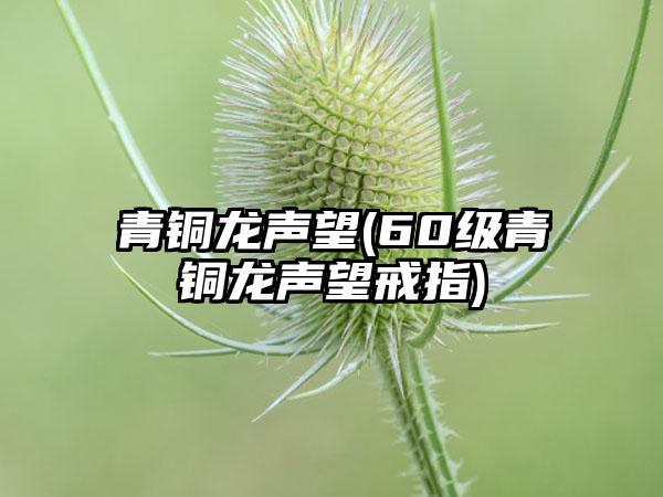 青铜龙声望(60级青铜龙声望戒指)