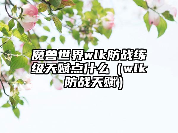 魔兽世界wlk防战练级天赋点什么（wlk 防战天赋）
