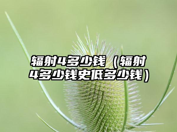 辐射4多少钱（辐射4多少钱史低多少钱）