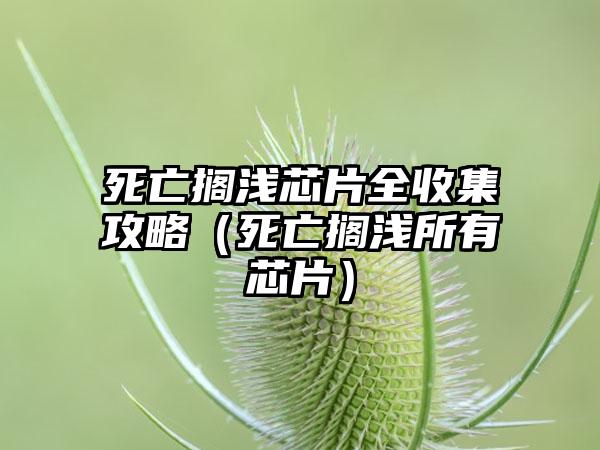 死亡搁浅芯片全收集攻略（死亡搁浅所有芯片）