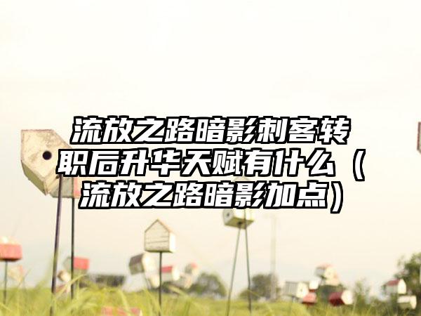 流放之路暗影刺客转职后升华天赋有什么（流放之路暗影加点）